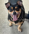 Jelly Roll-pudgy but cute