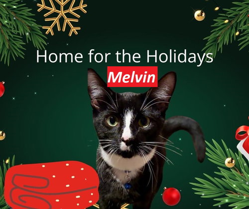 Melvin