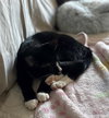 Melvin - Photo 4