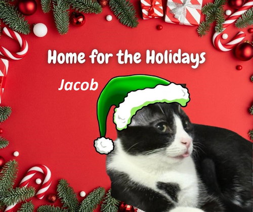 Jacob