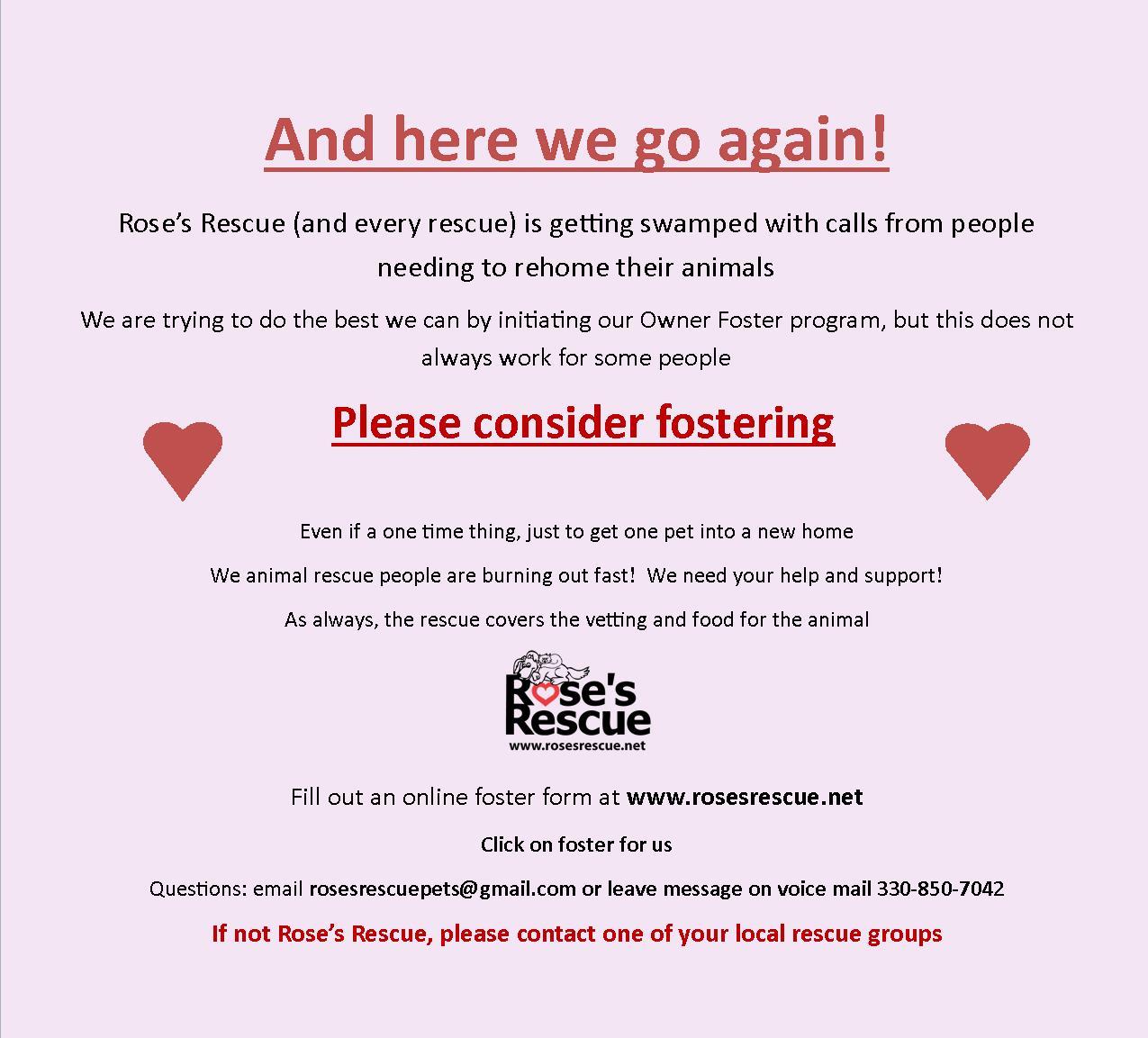 adoptable Dog in Rootstown, OH named Fosters Needed!