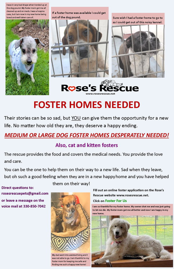 **Fosters Needed!