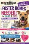 **Fosters Needed!