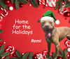 Remi