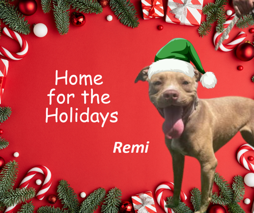 Remi