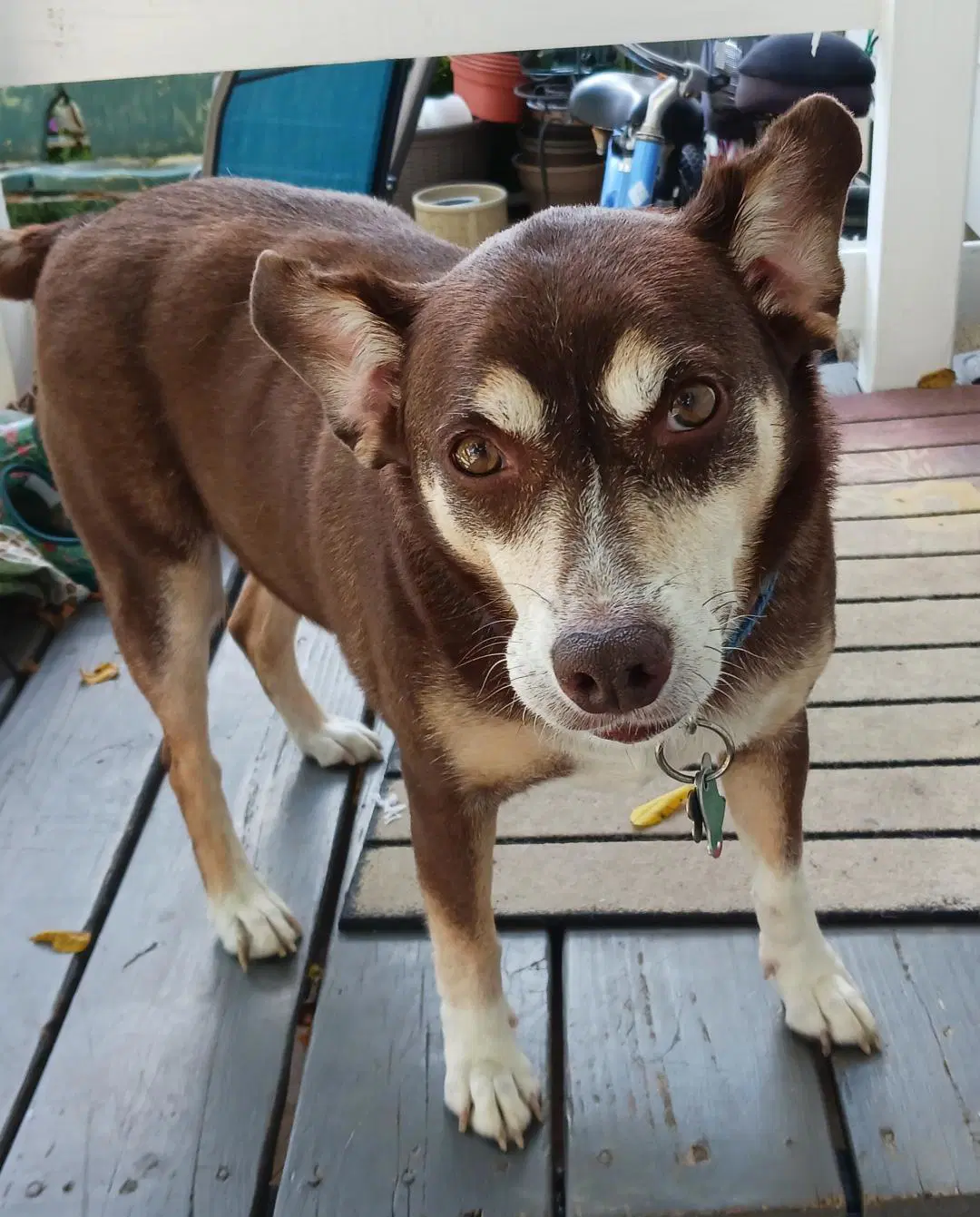 Riley - Courtesy Listing image 2