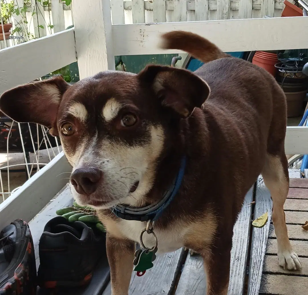 Riley - Courtesy Listing image 3