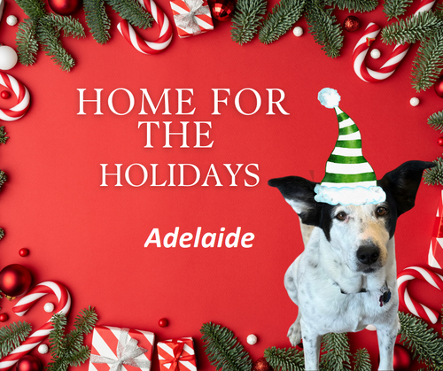 Adelaide