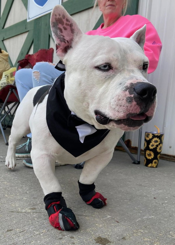 Neo