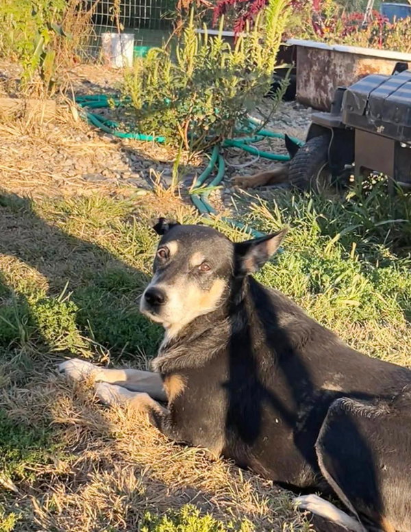 Karma-Sweet Senior Girl