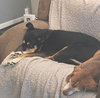 Karma-Sweet Senior Girl