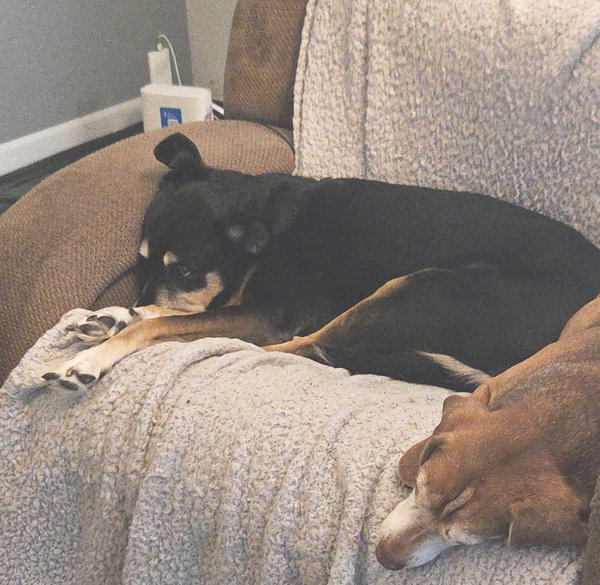Karma-Sweet Senior Girl