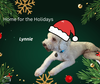 Lynnie