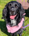 Molly-Such a Beauty!