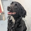 Molly-Such a Beauty!