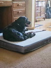 Molly-Such a Beauty!