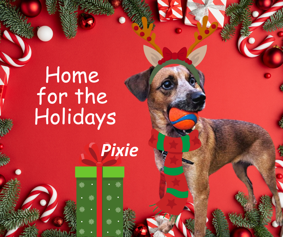 Pixie Image