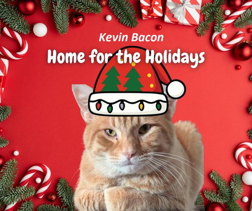 Kevin Bacon