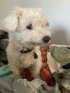 Guthrie - doing better and deserves a chance!