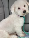 Guthrie - doing better and deserves a chance!