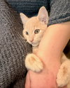 Gus