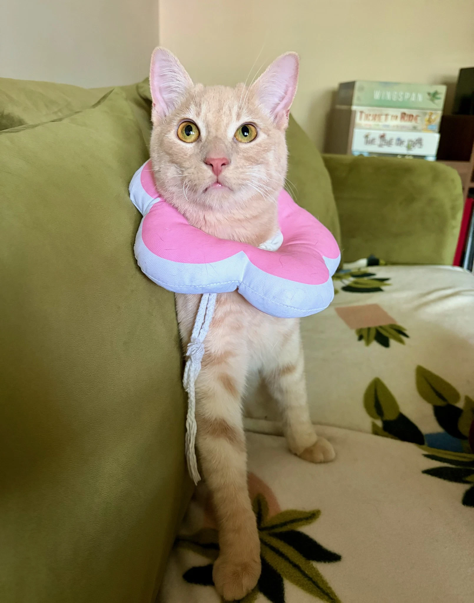 Gus