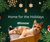 Minnow