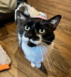 Goose & Mr. Kiki - Unlikely Duo!