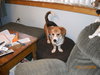 Miss Sadie