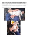Wrex-special needs-deaf