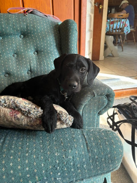Billy photo 2