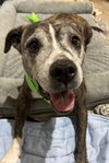 Nyla-SWEET SENIOR IN NEED