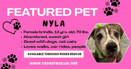 Nyla-SWEET SENIOR IN NEED, photo 2