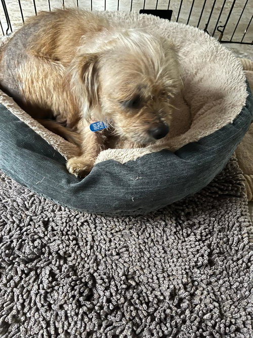 Photo 4 of Freya