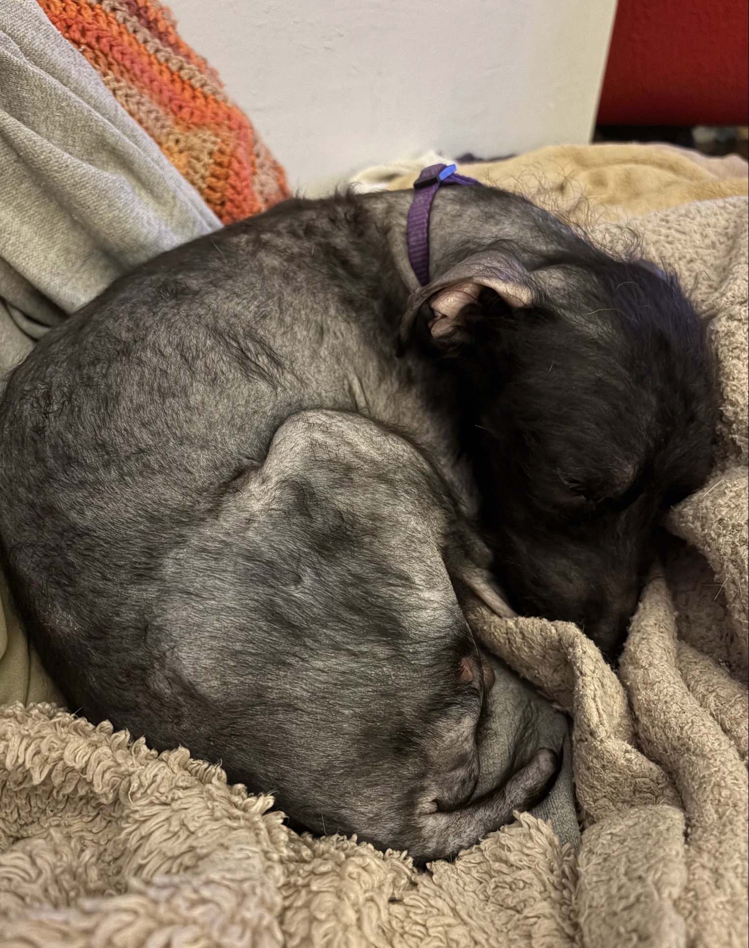 Bobby: Miracle Boy!, photo 20