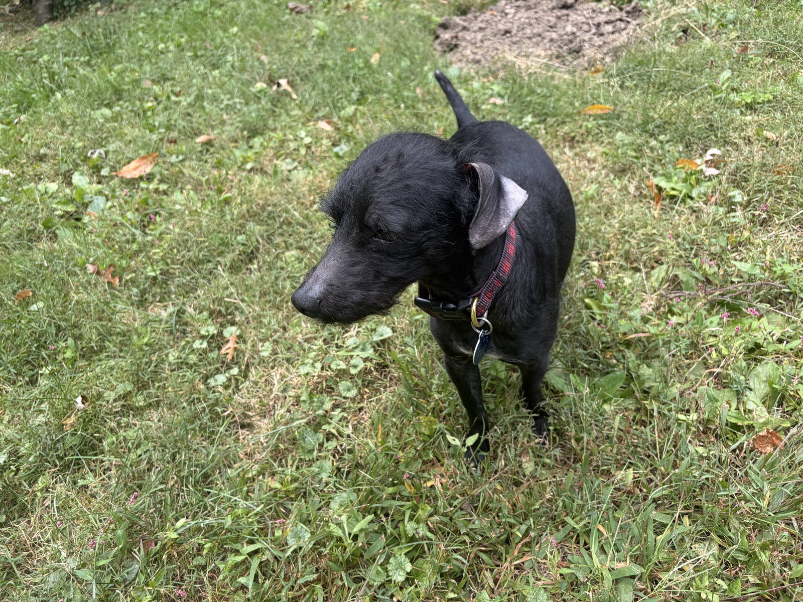 Bobby: Miracle Boy!, photo 23