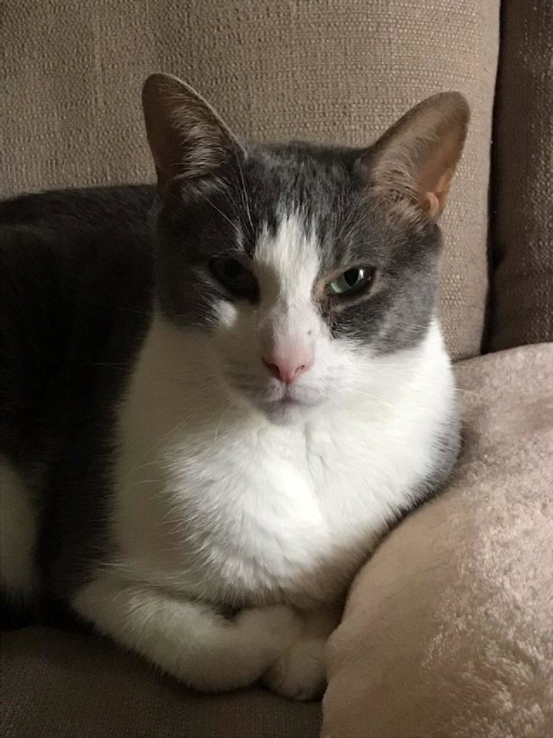 Obie, photo 4