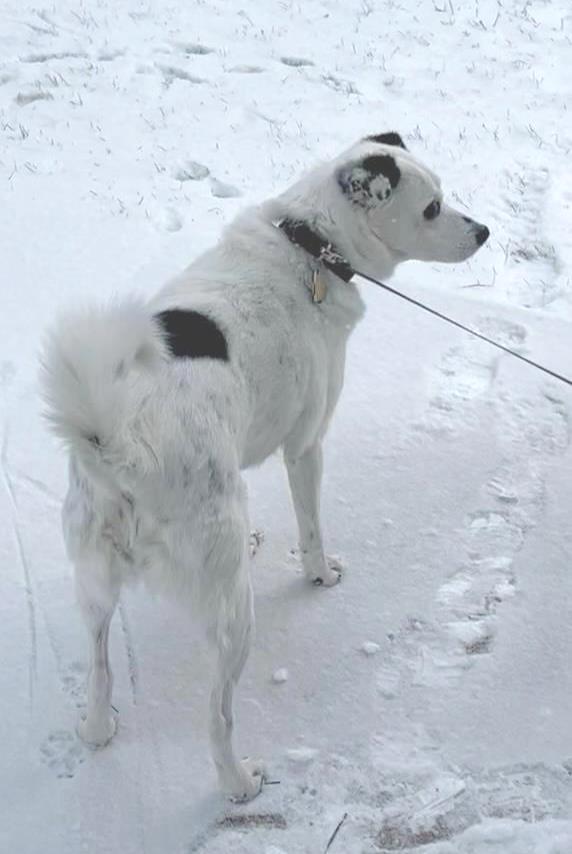 Spot - Senior Girl