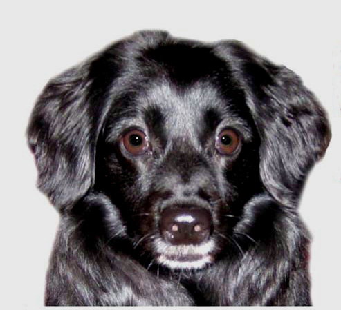 Tucker