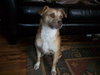 Miss Molly