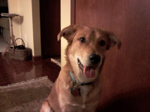Miss Maggie