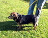 Murphy