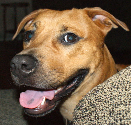Lucy: URGENT!