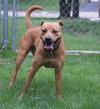 Lucy: URGENT!