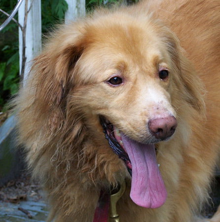 Buster - URGENT