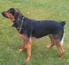 Buster