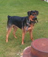Buster