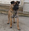 Lucy