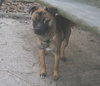 Lucy