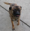 Lucy